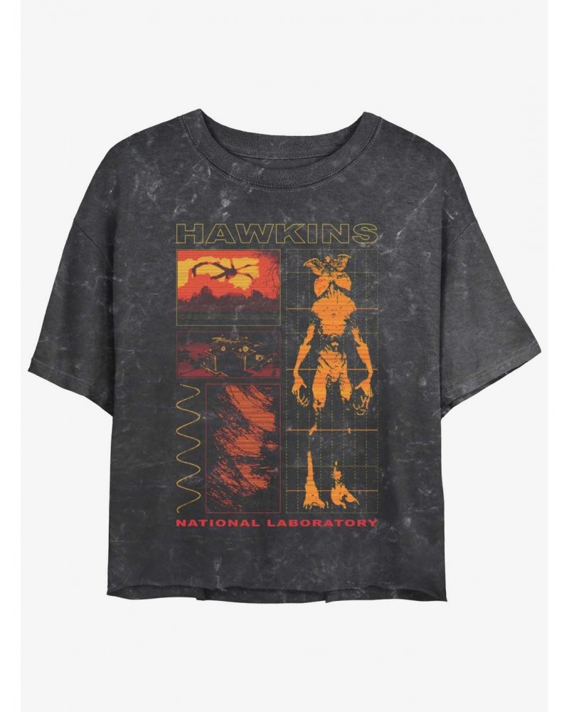 Stranger Things Hawkins Lab Mineral Wash Crop Girls T-Shirt $12.43 T-Shirts